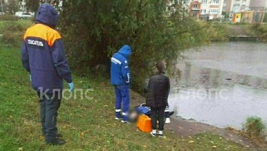 Личность погибшей в водоеме на Осенней раскрыта. Подробности трагедии в Калининграде