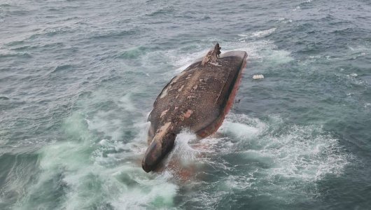 Морское ЧП на Сахалине: грузовое судно опрокинулось прямо в порту. Причины и последствия