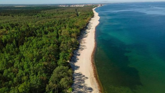 Куршская коса вошла в топ самых таинственных мест России