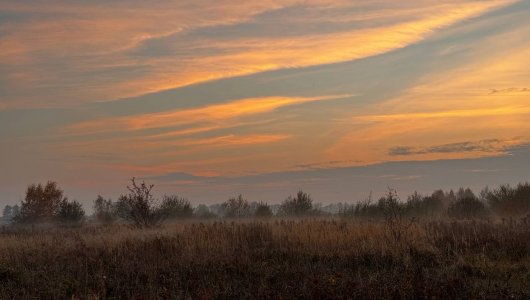 Во власти Атлантики. Прогноз погоды в Калининграде на 29 октября