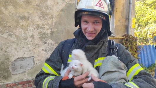 В Зеленоградске пожарные спасли 3 маленькие жизни 