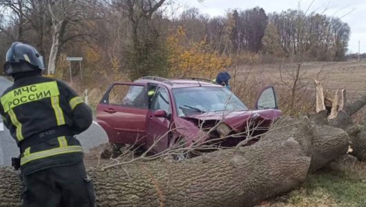 Ураган «Мартина» и первая жертва непогоды в Калининградской области 