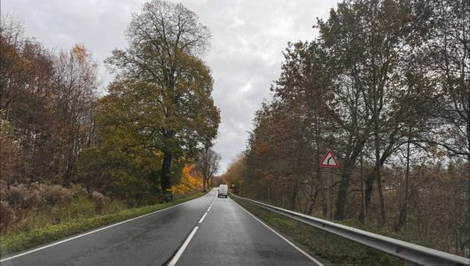 Трагедия на Куршской косе грибник погиб во время урагана