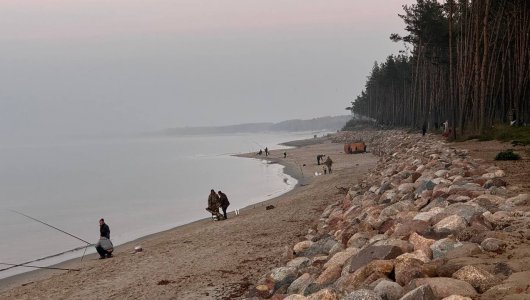 Под щитом высокого давления. Прогноз погоды в Калининграде на 5 ноября