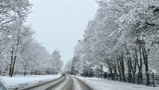 Снег в Калининграде: прогнозы синоптиков на ближайшее время 