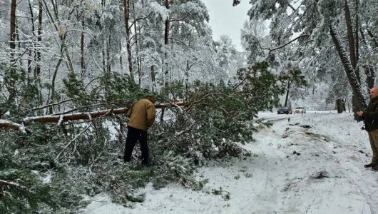 Жителей Калининграда просят не ехать на Куршскую косу: Как непогода превратила Куршскую косу в опасное место