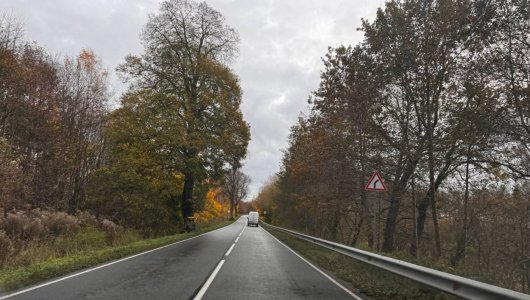 Возвращение в осень. Прогноз погоды в Калининграде на 25 ноября