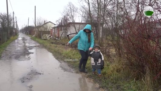 Опасная дорога к знаниям: как школьники в Калининградской области ежедневно рискуют жизнью по пути к автобусу