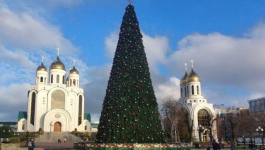 Волшебство на площади: в центре Калининграда засияла новогодняя ёлка 