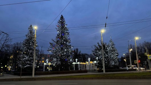 Природный градиент. Синоптики рассказали о погоде в Калининграде на 24 декабря