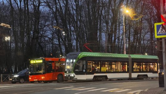 Синоптики рассказали о погоде в Калининградской области на 25 декабря