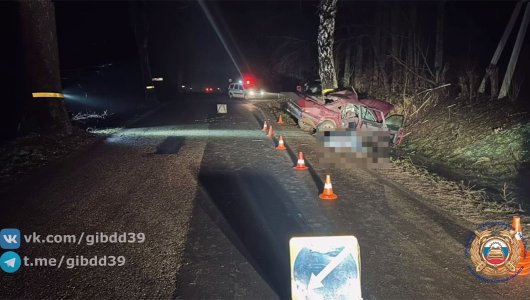 На огромной скорости влетел в дерево. В ГАИ рассказали о смертельном ДТП в Багратионовском районе