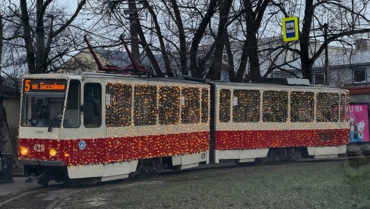 Январская аномалия: что случилось с погодой в Калининграде?