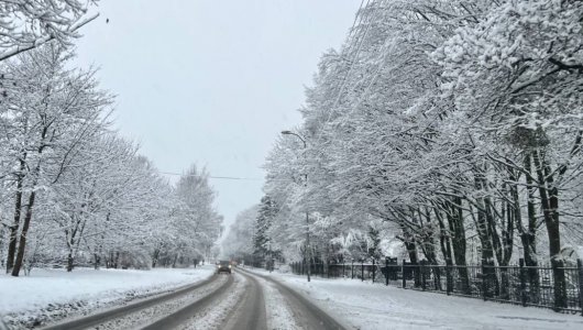 Синоптики: стоит ли ждать возвращения морозов в Калининградскую область