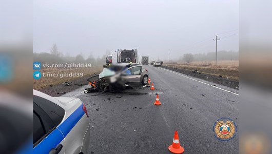 Внезапно вылетел прямо на встречку: стало известно о жестком массовом ДТП на трассе Калининград — Нестеров