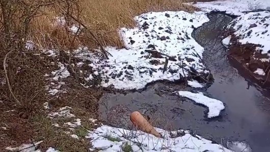 Сливают отходы прямо в море: экологи ищут виновных в загрязнениях под Балтийском