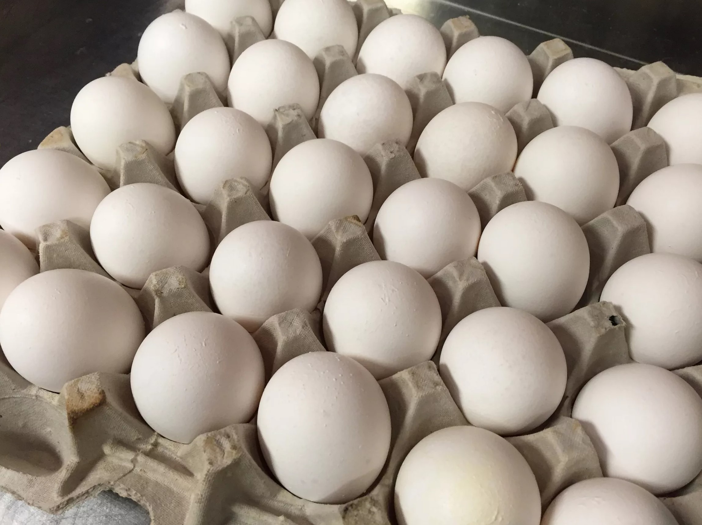 Купить яйца иваново. Яйцо куриное. Яйца кур. Домашние куриные яйца. Яйцо домашнее куриное белое.