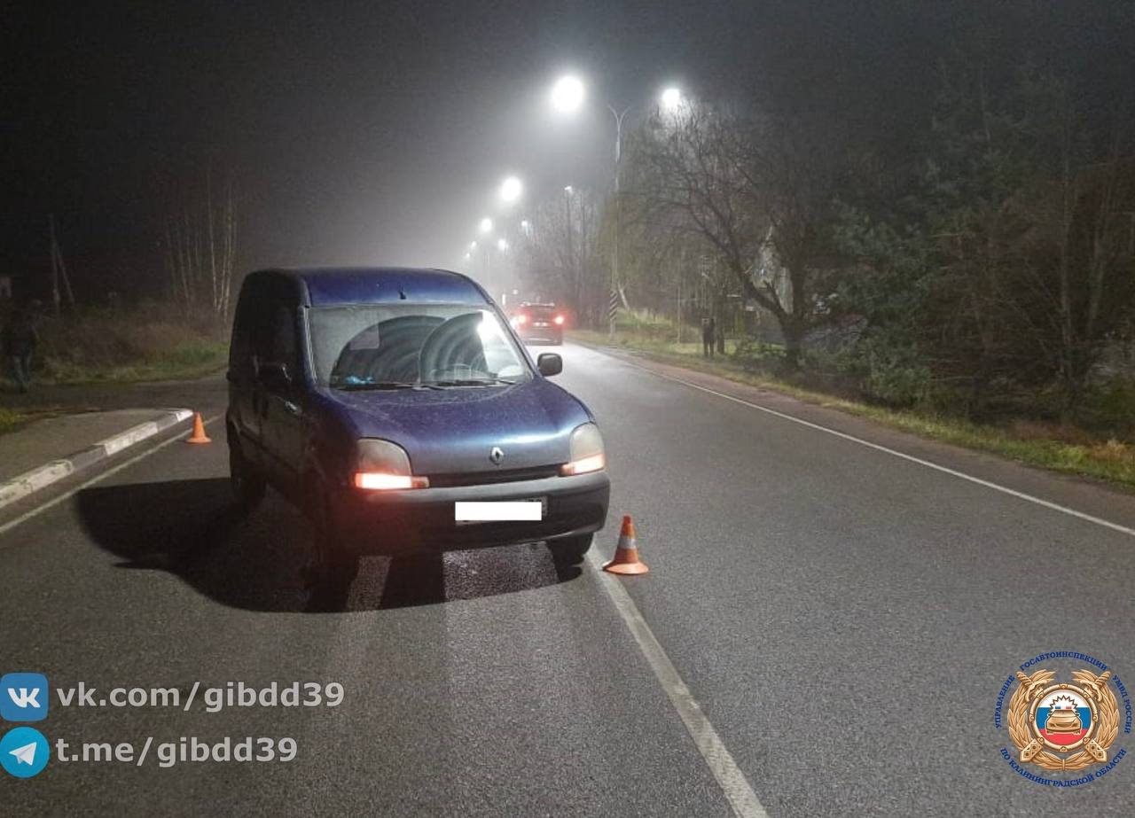 В Калининградской области ребенок попал под колеса автомобиля по вине своего друга