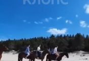Навоз на дорожках и пляжах: жители Зеленоградска против соседства с конным клубом