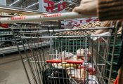 Срочные меры: как власти взялись за стабилизацию цен на продукты в России