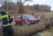 Ураган «Мартина» и первая жертва непогоды в Калининградской области 