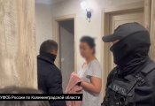 Следователи из Калининграда выявили факт мошенничества в крупном размере с «Пушкинской картой» 