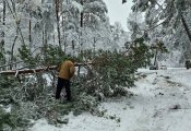 Жителей Калининграда просят не ехать на Куршскую косу: Как непогода превратила Куршскую косу в опасное место