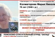 Таинственное исчезновение пенсионерки в Калининградской области: поиски продолжаются уже четвертый день