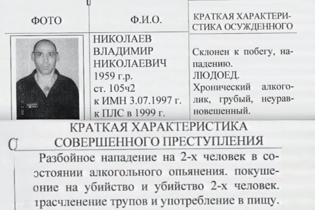 Маньяк Владимир Николаев, история новочеборксарского маньяка, Владимир Николаев история, каннибалы, преступления прошлого, криминал