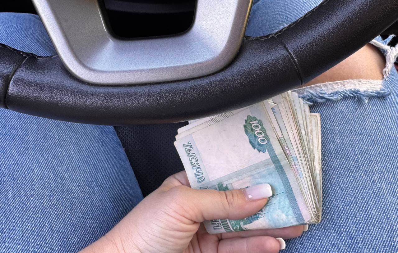 Не собирайте эти грибы с 25 июня, штрафы за сбор грибов, грибы под запретом, что нельзя собирать в лесу, штрафы за грибы, новые правила сбора грибов