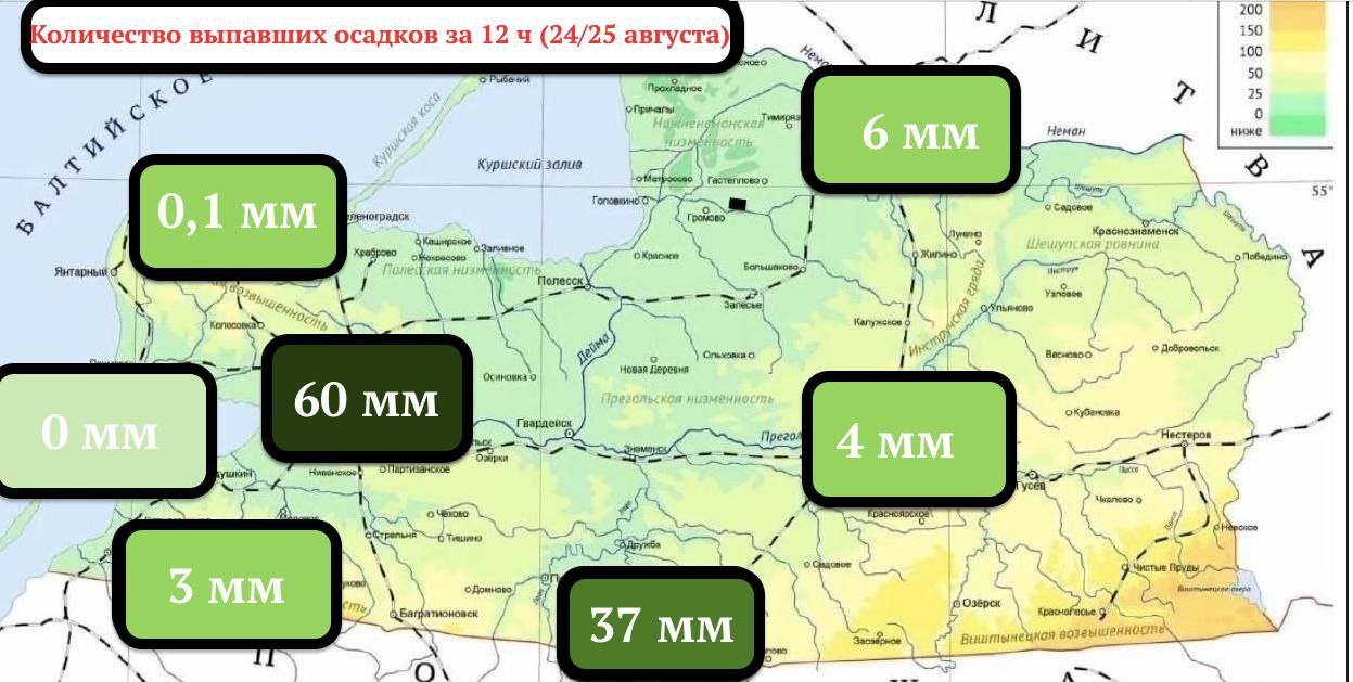 В ночь с 24 на 25 августа в Калининградской области выпало рекордное количество дождя — свыше половины месячной нормы