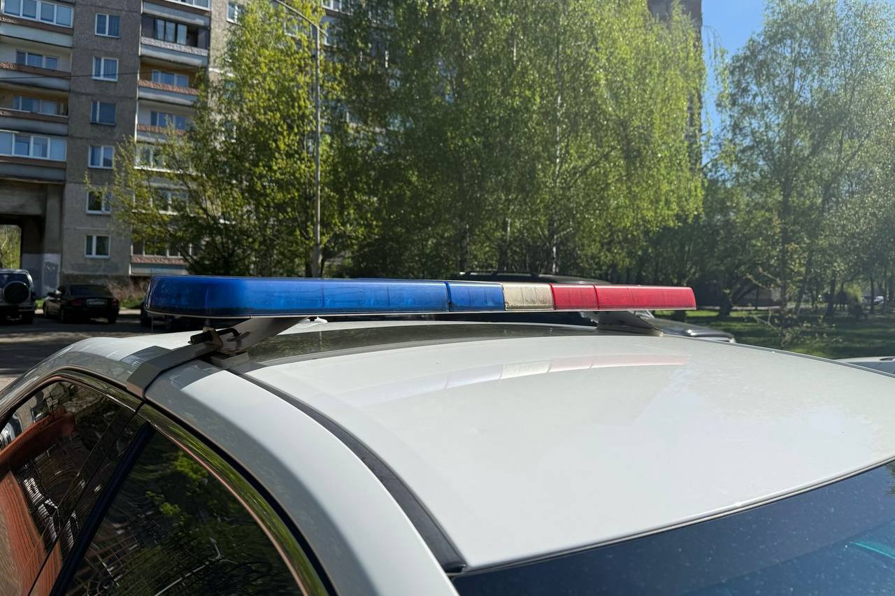 ГАИ, как общаться с инспектором, остановили на трассе, когда надо выходить из машины по просьбе инспектора, ДПС, закон