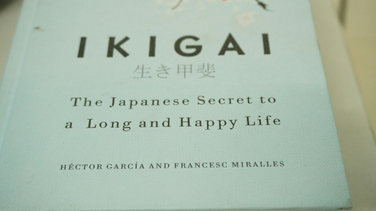 Поиск работы, Ikigai, японская техника поиска ценностей, нейросети помогают найти работу мечты, поиск работы, идеальная работа, техника Ikigai