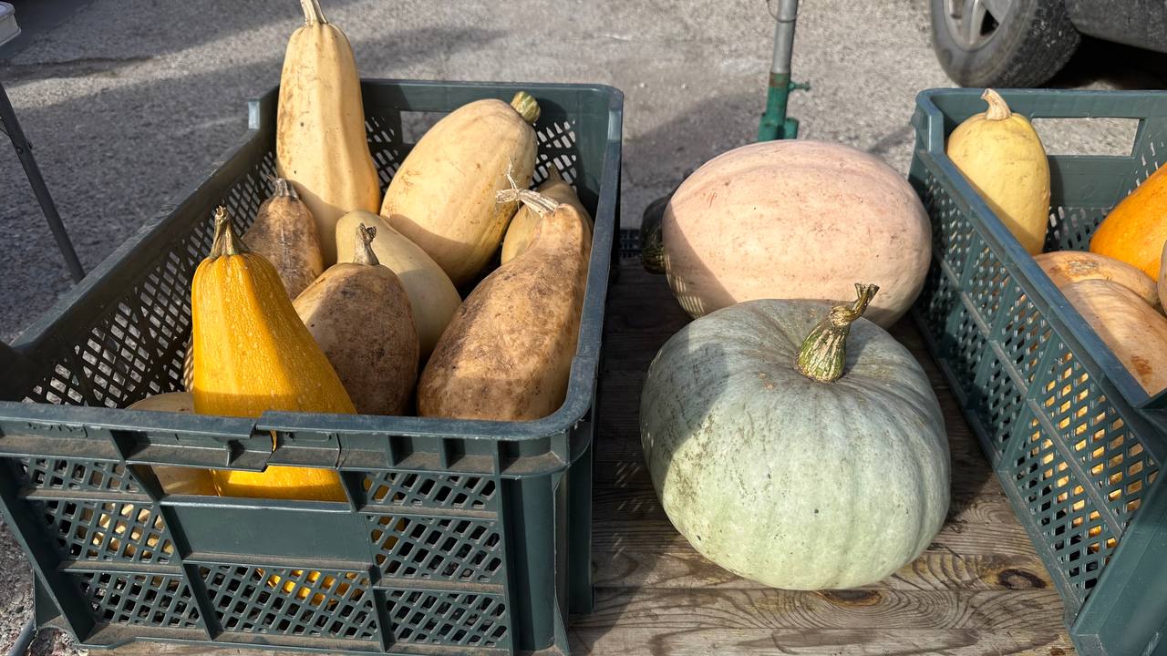 10 осенних суперфудов, лучшие осенние овощи и фрукты, сезонные продукты, полезные продукты, укрепление иммунитета