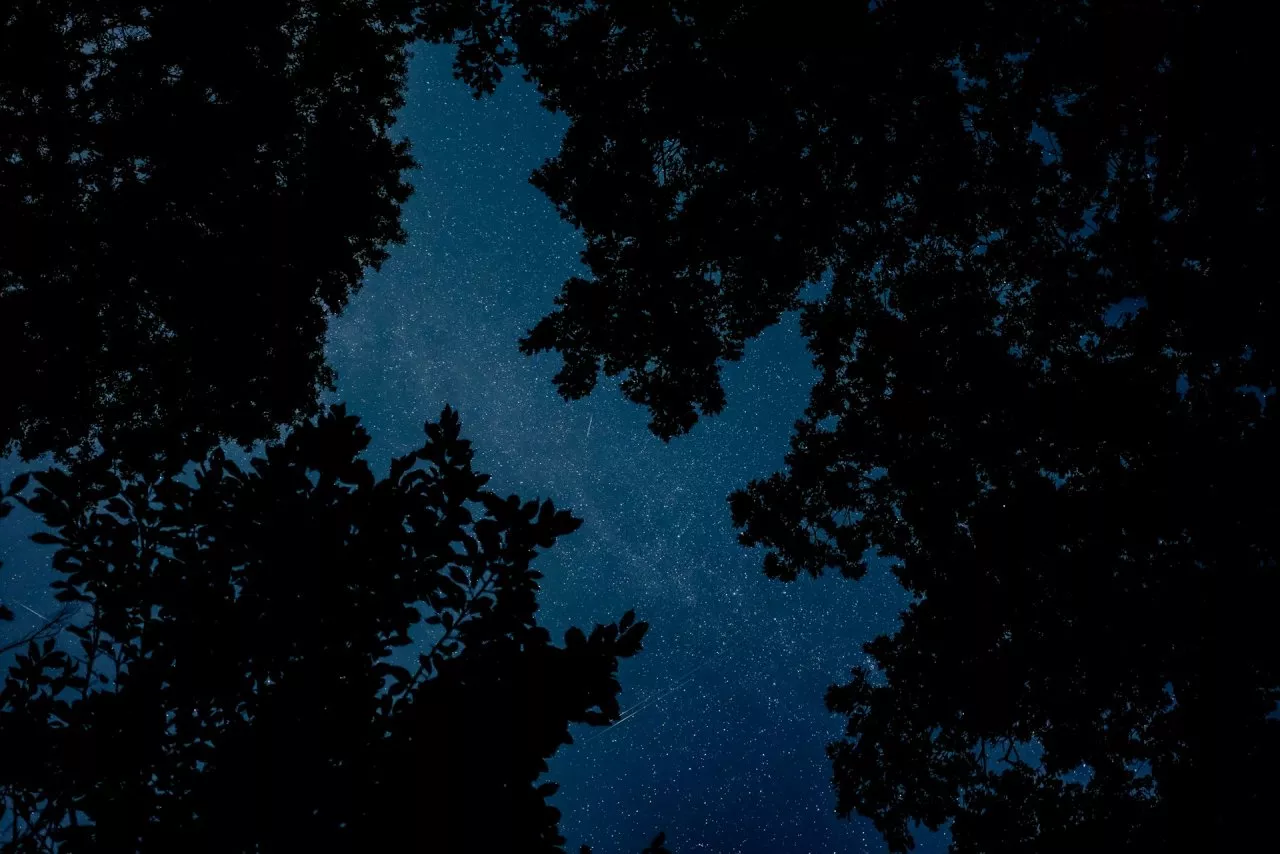 Гороскоп на ноябрь 2025, предсказание на ноябрь, астропрогноз, знаки зодиака, астрология, что ждет в ноябре