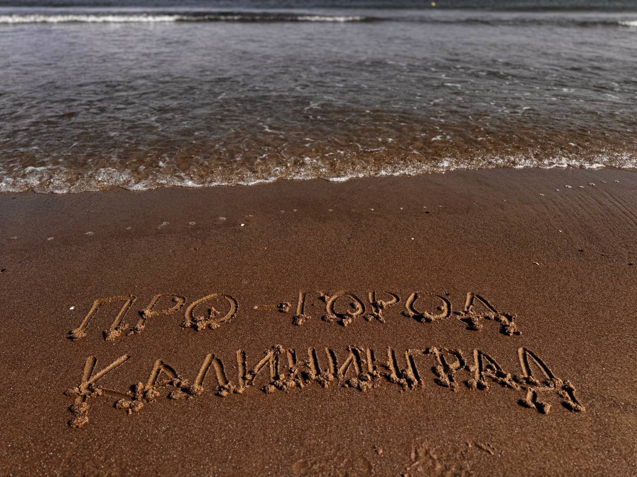 Про-город Калининград, СМИ Про-город Калининград, новости Калининграда, происшествия Калининграда, афиша Калининграда