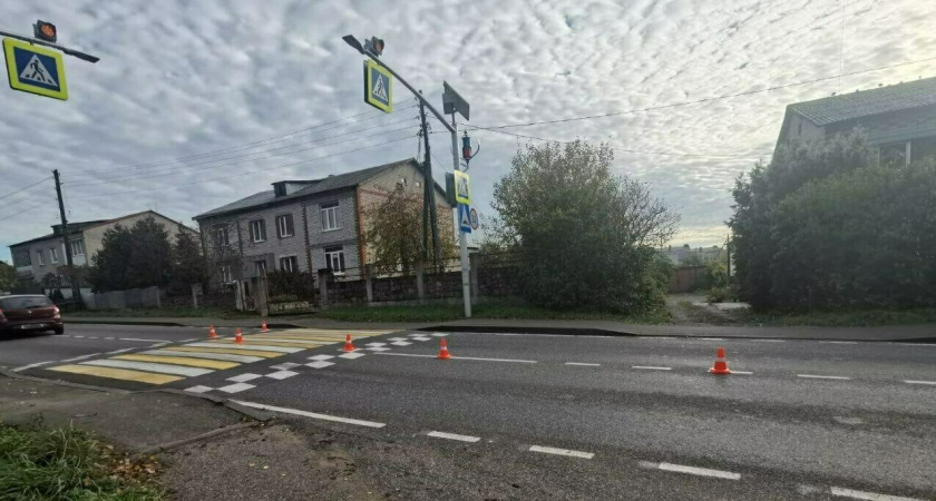 В Холмогоровке сбили пешехода с ребёнком , переходящих дорогу на пешеходном переходе 