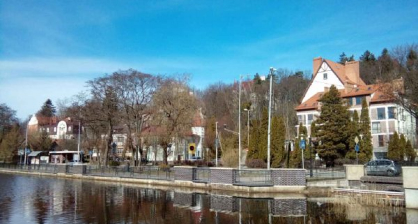 Облагородим водоём: на озере Тихом в Светлогорске будут выкорчевывать тростник 