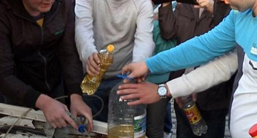 Житель Калининграда на протяжении шести лет заправляет автомобиль растительным маслом 