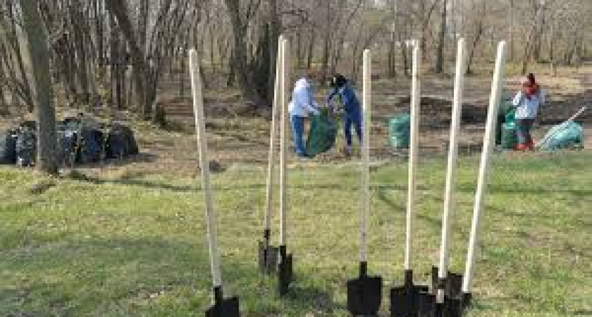 Месяц благоустройства в Калининграде с 20 октября по 17 ноября 