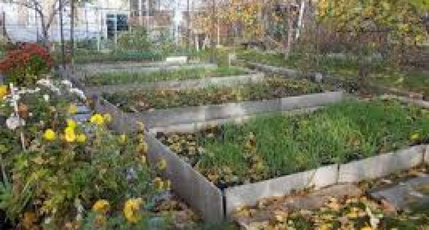 На сельхозземелях нашли кровь неизвестного происхождения 