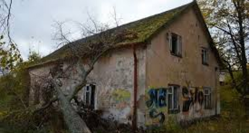 Власти рассказали о создании нового «Артека»  в Филино