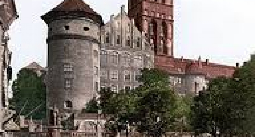 В Калининграде приступили к консервации руин Королевского замка