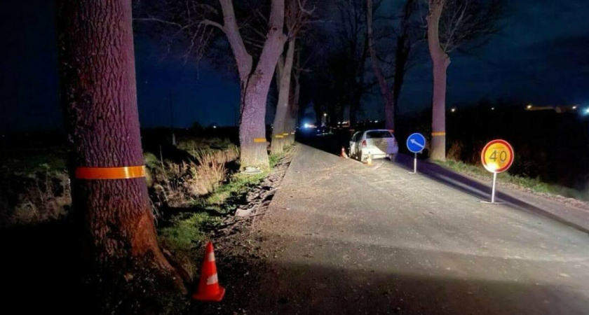 Водитель врезался в дерево, уходя от столкновения с пешеходом