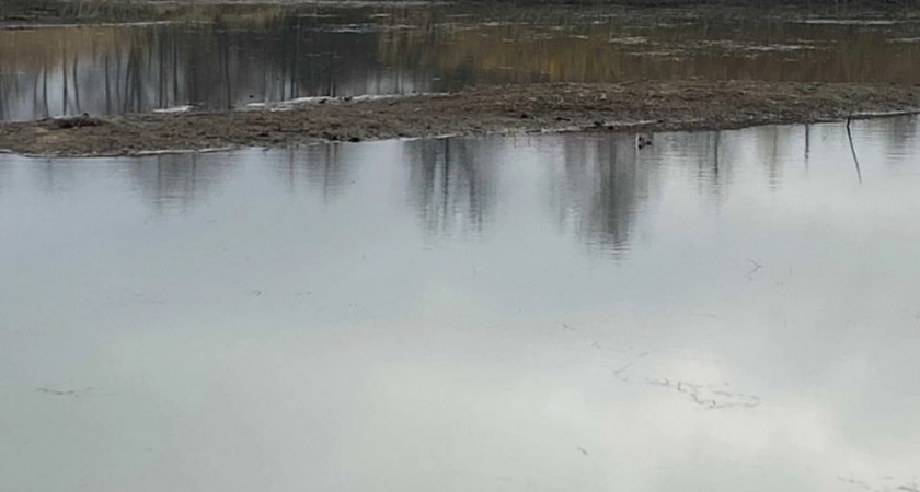 Жители Полесского района заметили обмеление реки Каменки