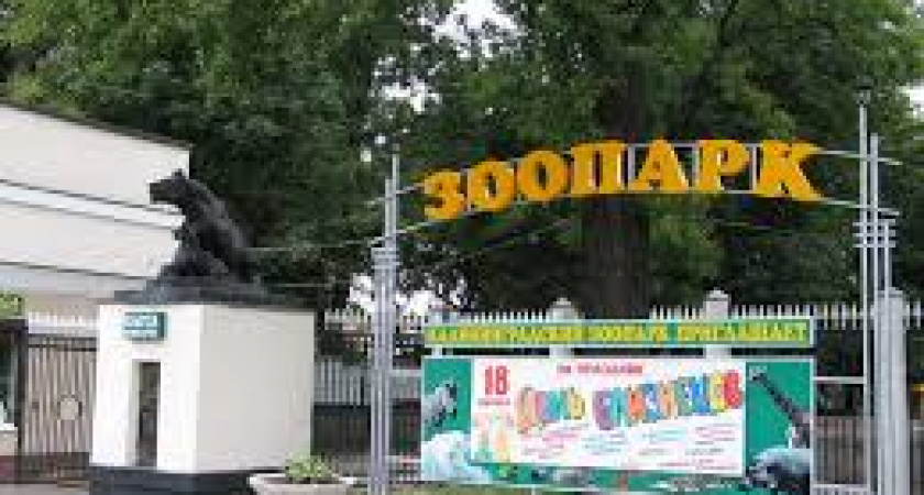 В Калининградском зоопарке начался ремонт на трех объектах