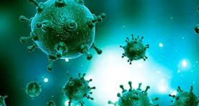 В Калининградской области выявили заболевших новым штаммом свиного гриппа