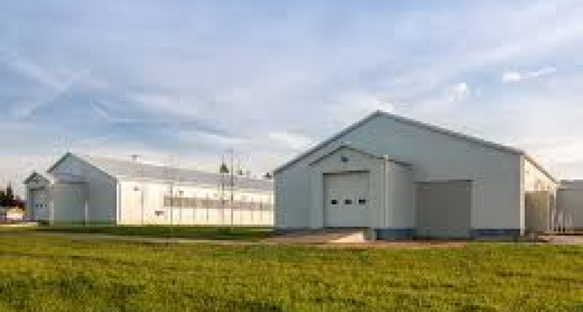 Калининградские фермеры получат субсидии на выращивание картофеля и овощей