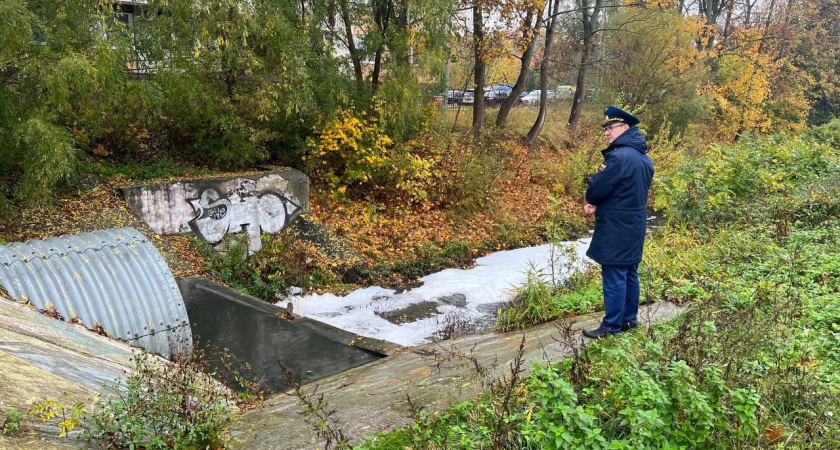 Литовский ручей загрязняют стоки из городских ливнёвок