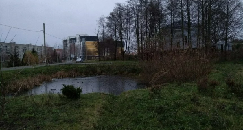 В Пионерском местный житель спас двоих мальчиков, которые едва не утонули в пруду
